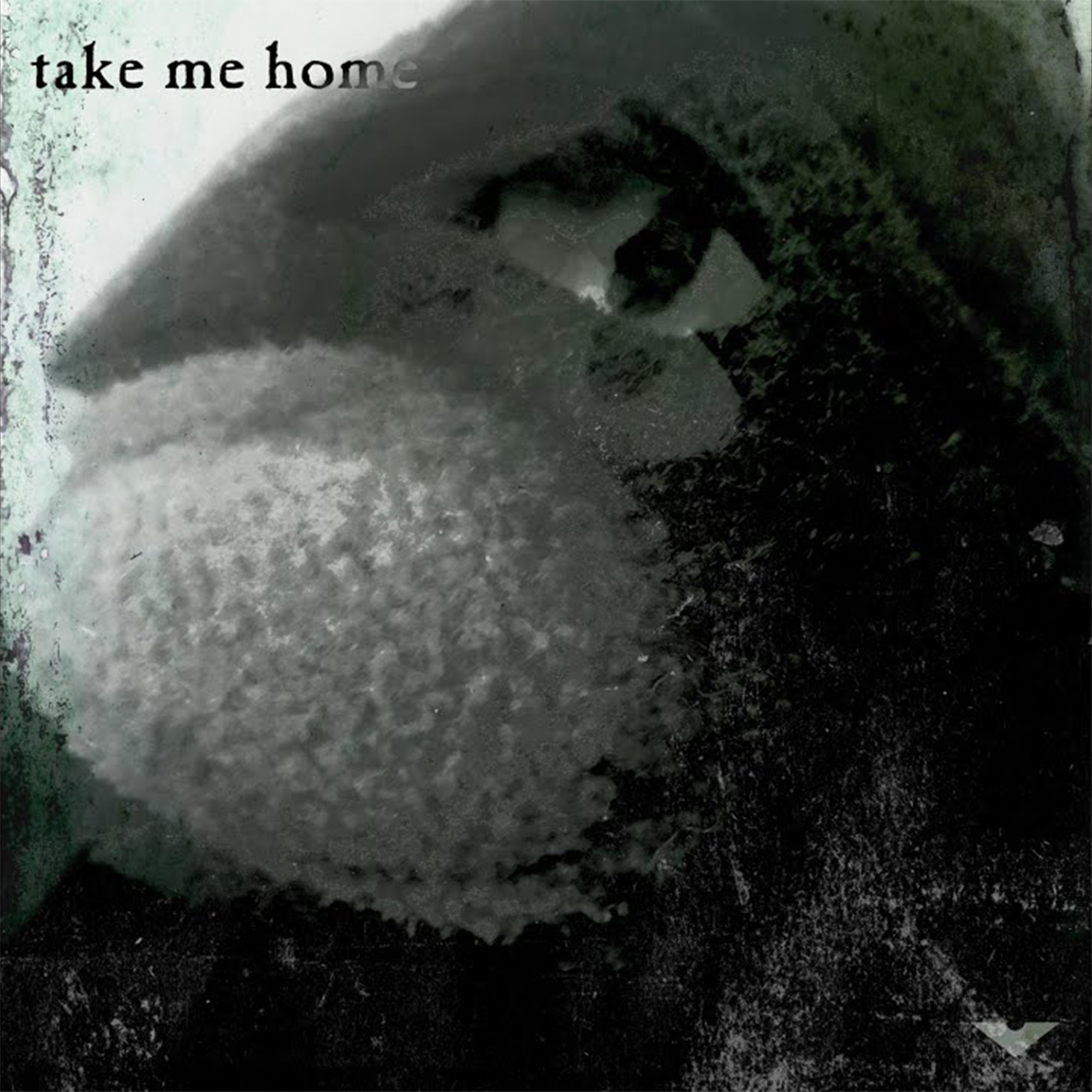 take me home cover